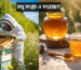 মধু সংগ্রহ ও সংরক্ষণ