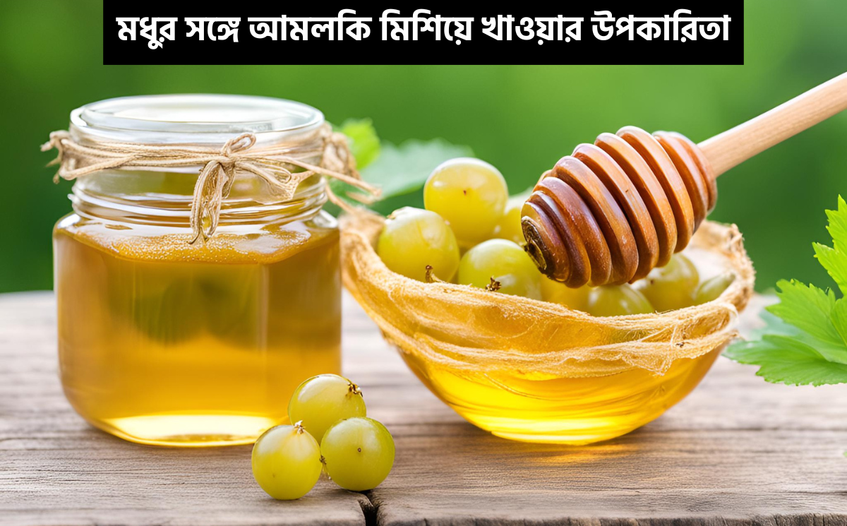 মধুর সঙ্গে আমলকি
